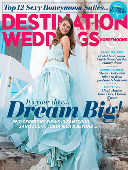 Destination Weddings & Honeymoons Mag LOGO-APP點子