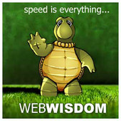 Web Wisdom