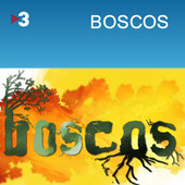 Boscos