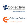 BA Collective - Business Analysis Webcast