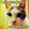 CaptionCat