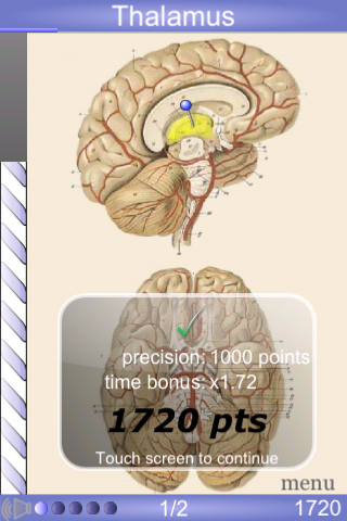 Speed Anatomy Lite (Quiz) free app screenshot 3