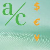 Financial Ratios