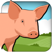 Farm Animals