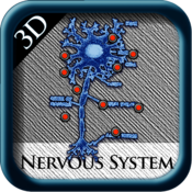3D Nervous System