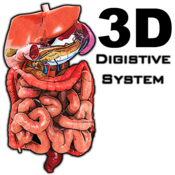 3D Digestive System