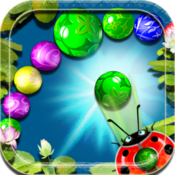 Ladybug Ball