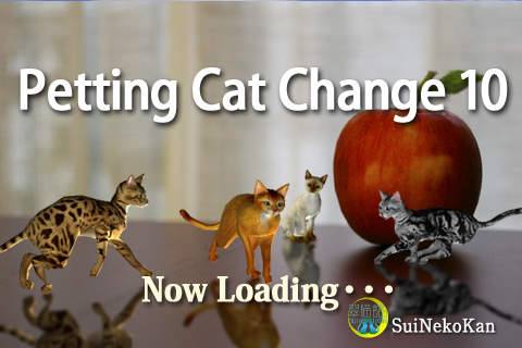 【免費娛樂App】Petting Cat Change 10-APP點子