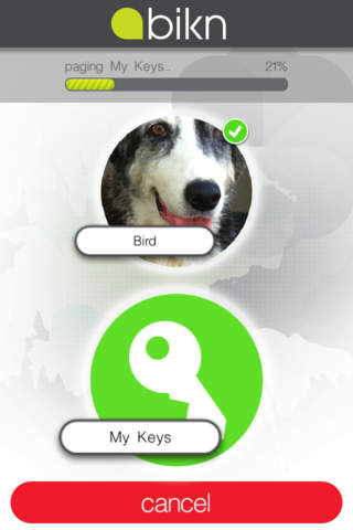 iPhone Screenshot 4