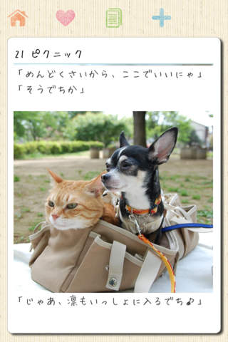 チワワとトラ猫  -凛（リン）と正宗にぃちゃんのほのぼのライフ- screenshot 3