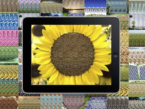 iPad Screenshot 2