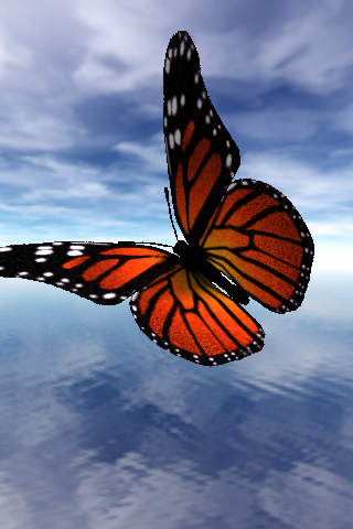 Butterflies (FREE) screenshot 4