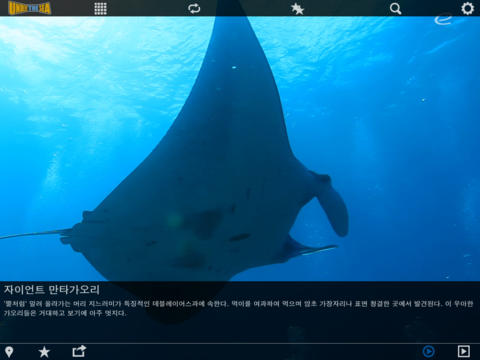 Under The Sea (해양 생물) screenshot 2