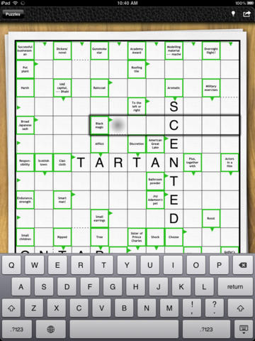 iPad Screenshot 3