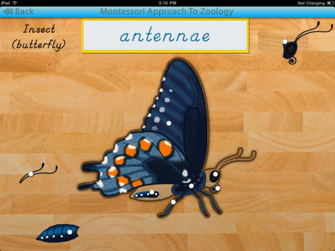 iPad Screenshot 5