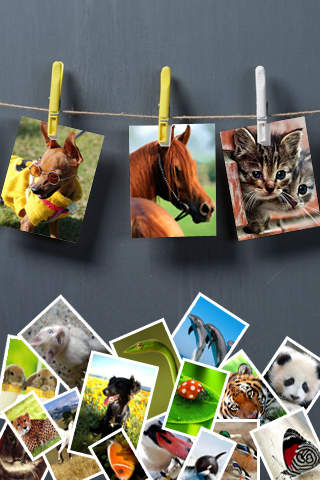 iPhone Screenshot 2