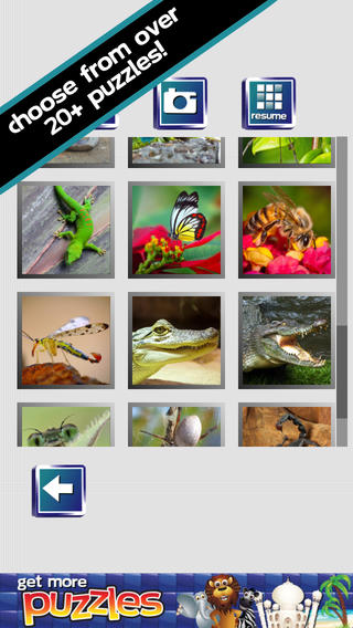 免費下載遊戲APP|Puzzles of Bugs and Reptiles Life Game app開箱文|APP開箱王