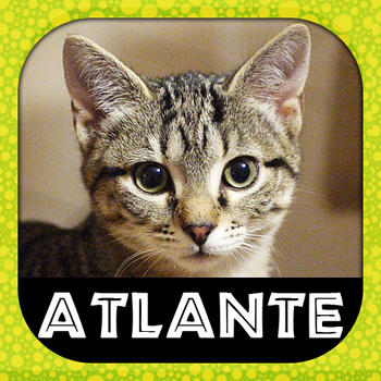 ATLANTE GATTI LOGO-APP點子