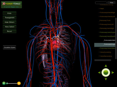 3D Human Circulation System HD screenshot 3