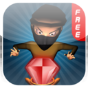 The Theft Master mobile app icon