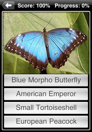 Butterflies! screenshot 4