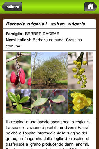 【免費遊戲App】Caccia al tesoro botanica in Val Rosandra-APP點子