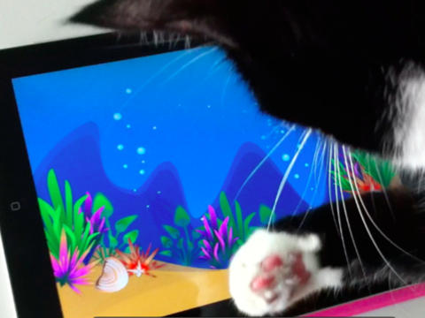 【免費遊戲App】Cat Game: Aquarium-APP點子