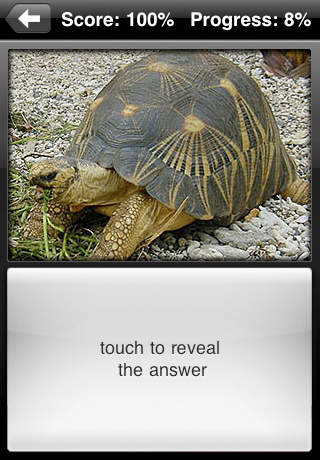 【免費教育App】Turtle Flip: Flashcards of Turtles-APP點子