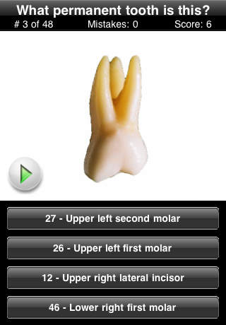 Animated Tooth Quiz