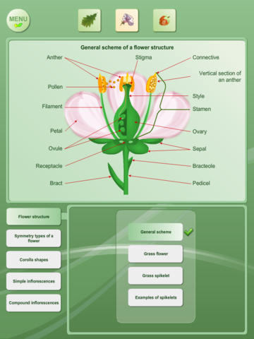 【免費書籍App】Biology - Plant handbook Free-APP點子