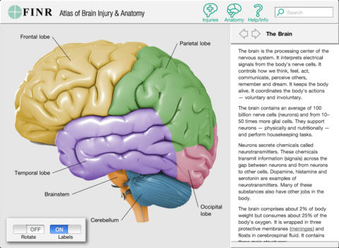 【免費音樂App】FINR Brain Atlas-APP點子