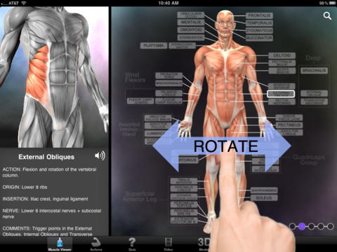 【免費醫療App】Muscle & Bone Anatomy 3D-APP點子