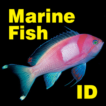 Marine Fish ID Great Barrier Reef 書籍 App LOGO-APP開箱王