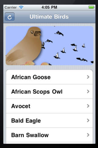 Ultimate Birds screenshot 2