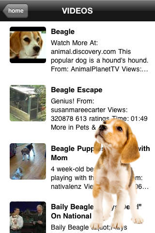 Beagles - Hound Dog Series screenshot 4