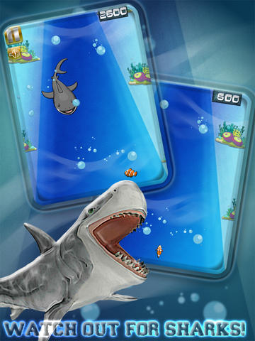 免費下載遊戲APP|A Jaws Ocean Fish Adventure - Free Version app開箱文|APP開箱王
