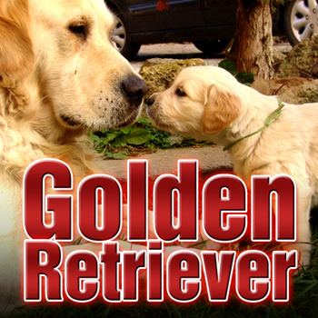 Golden Retriever Wallpapers LOGO-APP點子