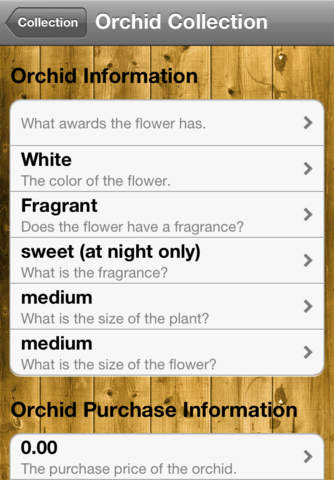 Orchid Notebook screenshot 2