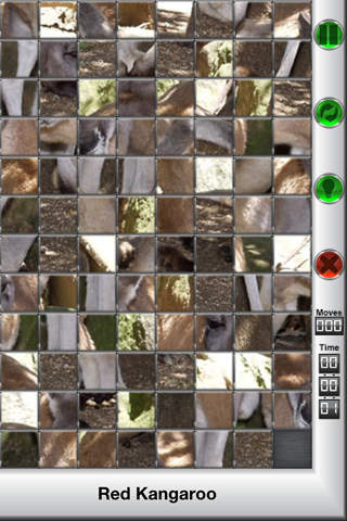 Animal Puzzle Lite (Play & Learn) screenshot 2