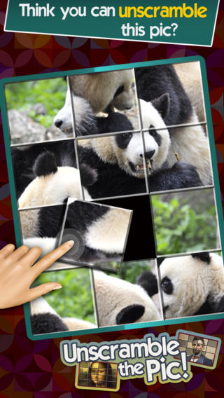 Unscramble the Pic ~ jigsaw puzzle fun for the whole family