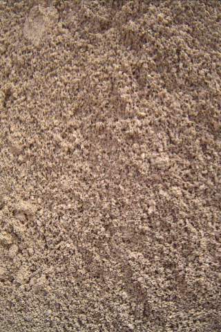 iPhone Screenshot 2