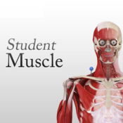 Student Muscle System