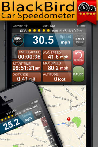 Black Bird Car Speedometer + screenshot 2