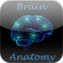 Brain Structures and Functions mobile app icon