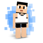 The Blockheads Server