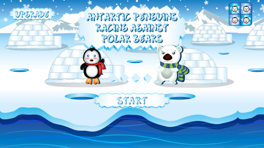 免費下載遊戲APP|Antarctic Penguins Racing Against Polar Bears - The Igloo Race app開箱文|APP開箱王