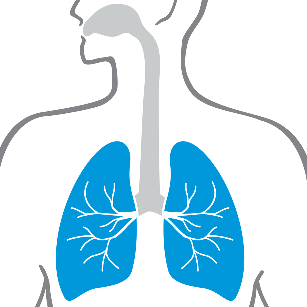 Respiratory pattern icon