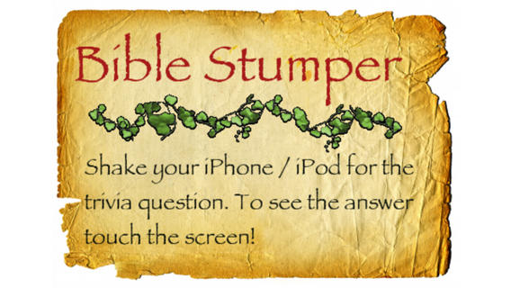 Bible Stumper: Trivia for the Soul