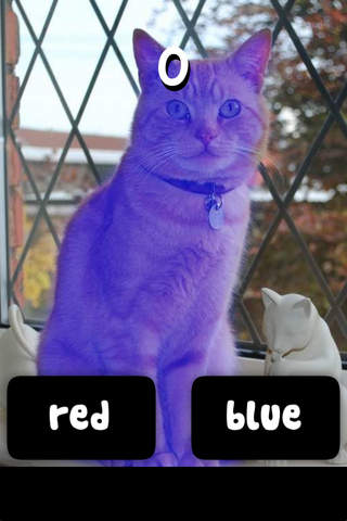 Redcat Bluecat screenshot 2