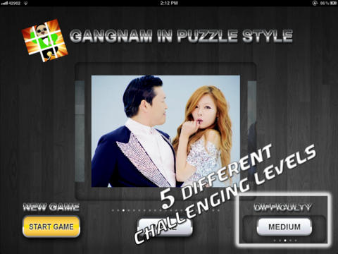 Gangnam in Puzzle Style Pro screenshot 3